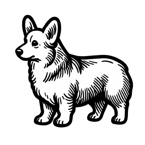 corgi